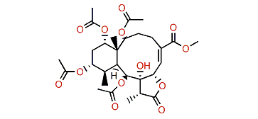 Erythrolide O